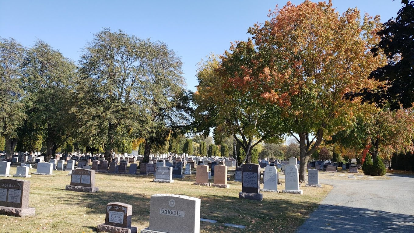 Minneapolis Jewish Cemetery - Minneapolis