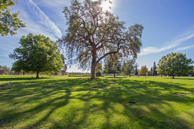 Glen Oaks Memorial Park - Chico