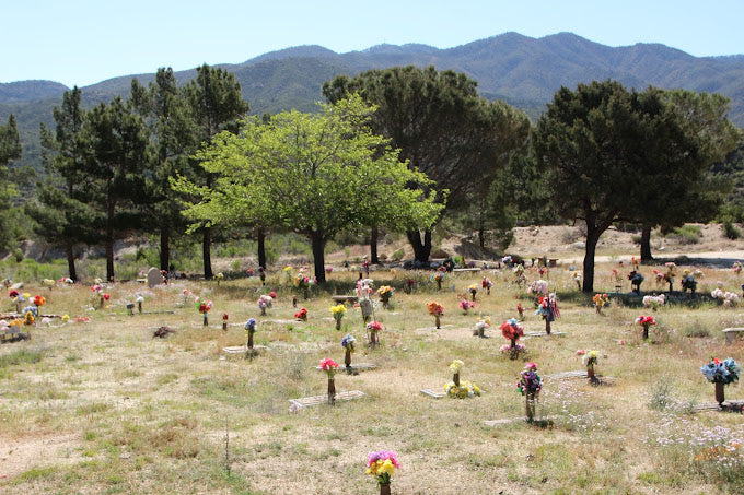 Mountain Breeze Memorial Gardens (Holley Hillcrest) - Miami