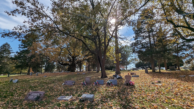 Zion Cemetery - St. Louis