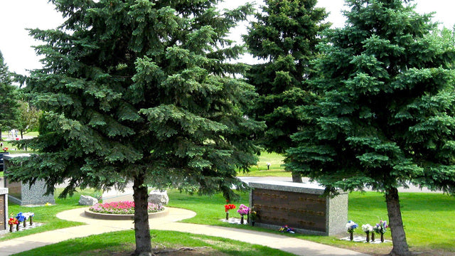 Morningside Memorial Gardens - Coon Rapids